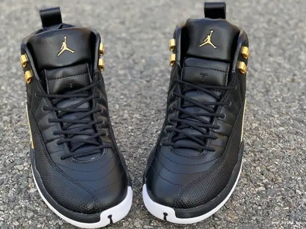 Chep Onekick Retro Air 12 AO6068-007 Black Metallic Jordan 'Reptile' Gold-White 0429